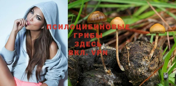 мяу мяу кристалл Алзамай
